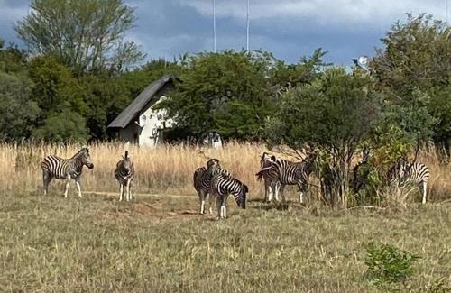 Leeupoort Villa | Zebula Golf and Wildlife Estate - Giraffe Plains Pax 4 - Moi Signature Luxury villa