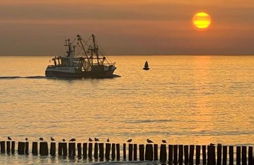 Koudekerke House | Zeeland Hideaway - 2 gratis fietsen tijdens verblijf