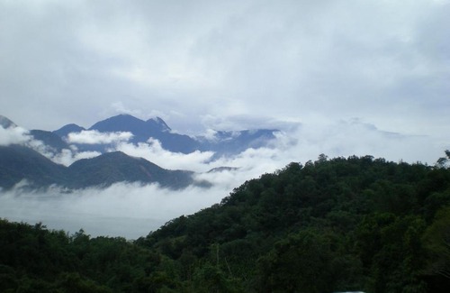 Shuili House | Zen and Pine Resort