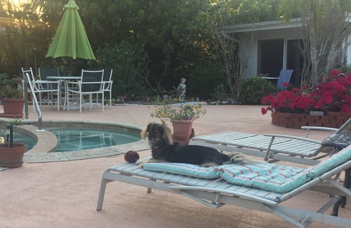 Coquina Sands Apartment | Zen Garden Private Guest House by Beach n Golf