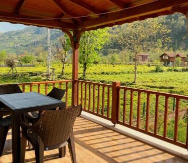 Ardesen Villa | Zeni Villa - Fırtına Deresinde mükemmel konaklama