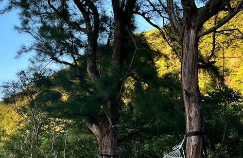 Shoufeng House | Zephyr Homestay