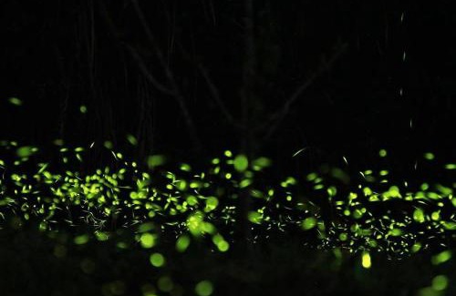 Meishan House | Zhulin View B&B