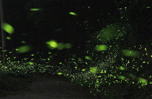 Meishan House | Zhulin View B&B