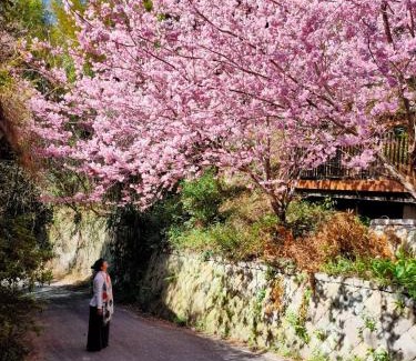 Meishan House | Zhulin View B&B