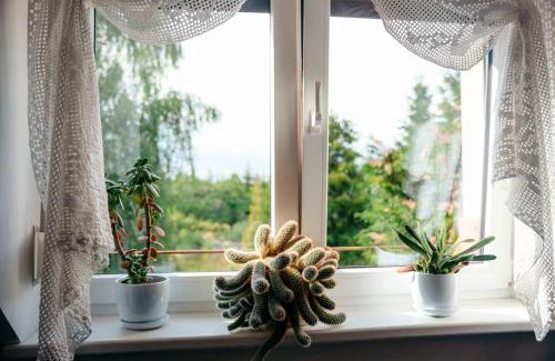 Pisz House | Zielona parcela