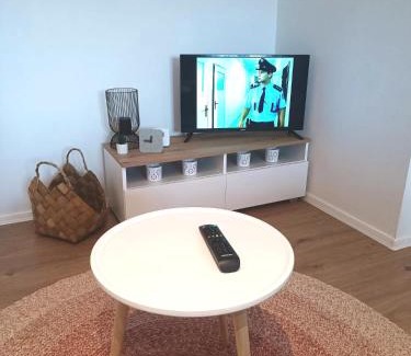 Plzen Apartment | Zoo Karlovarská Apartment