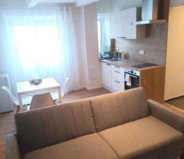 Plzen Apartment | Zoo Karlovarská Apartment