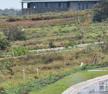 Salt Rock House | Zululami dinning