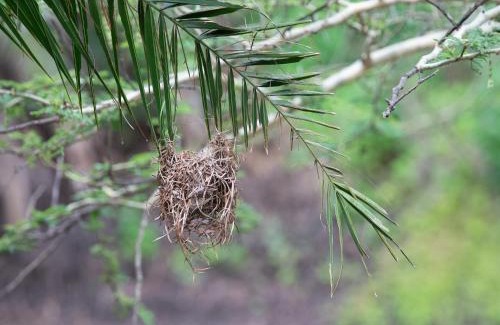 Hluhluwe Other | Zululand Lodge