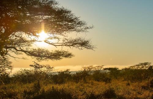 Hluhluwe Other | Zululand Lodge