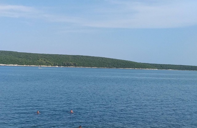 Šarmantno stanovanje sa krasnim pogledom na more i prelijepa zelena Istra.