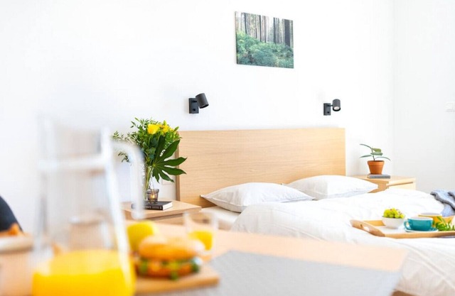 Štúdiový apartmán s balkónom a rozkladacím kreslom