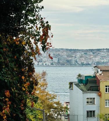 Дуплекс с видом на Босфор