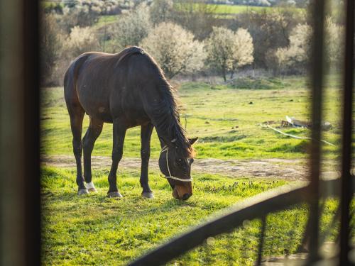 Стая за гости "Намасте" с панорамна гледка и камина на дърва