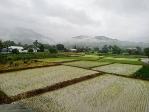 เฮือนป้อหลวง