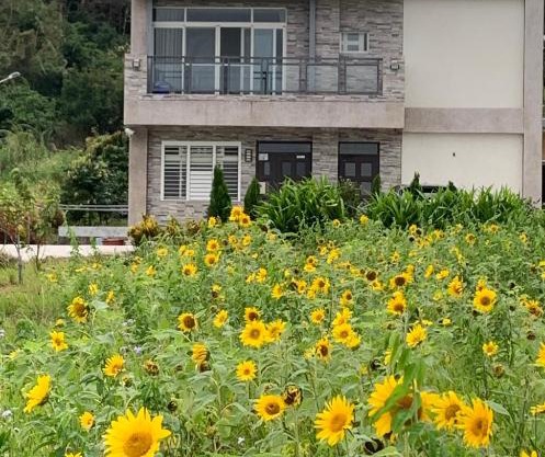 台東三仙台心悅民宿