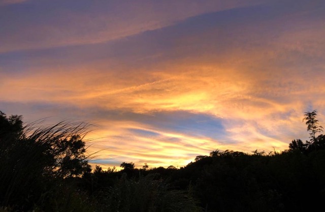 樹之間民宿 樟間 櫸間