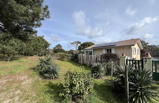 058 - Small peaceful corner next to the pines and 200m from the Ocean