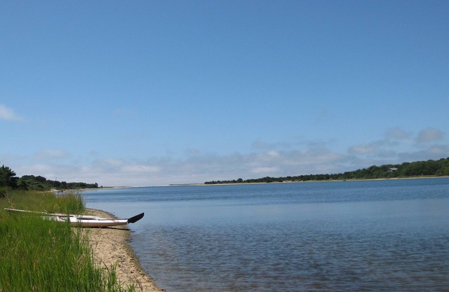 1,500' Shore on Deep Bottom Cove, Tisbury Great Pond