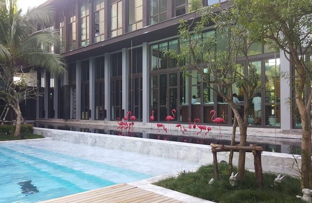 1 Bedroom 57sqm Luxury Apartment with Pool View