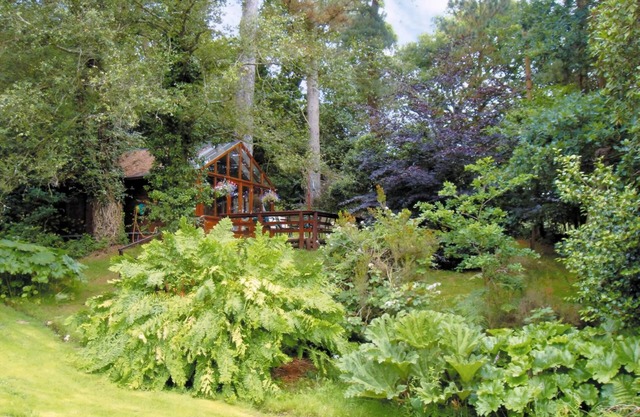 1 bedroom accommodation in Furze Hill, near Fordingbridge