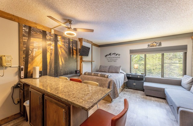 #1105 Renovated Ski in/out, pool view, slps 6,