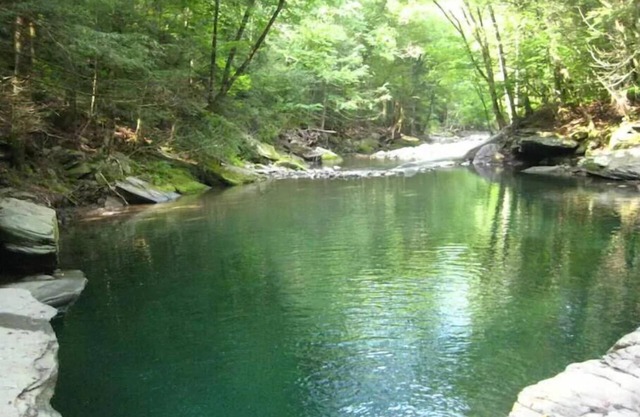 1850 Carriage House, Creek