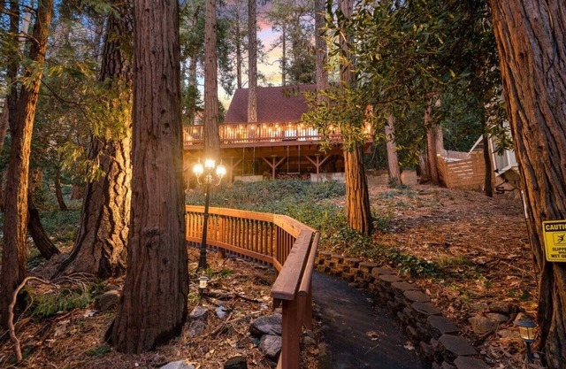 1Bed + Loft | Treetop Hideaway