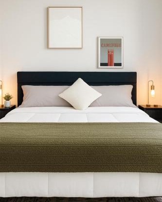 2 Bedroom Condo Cambridge