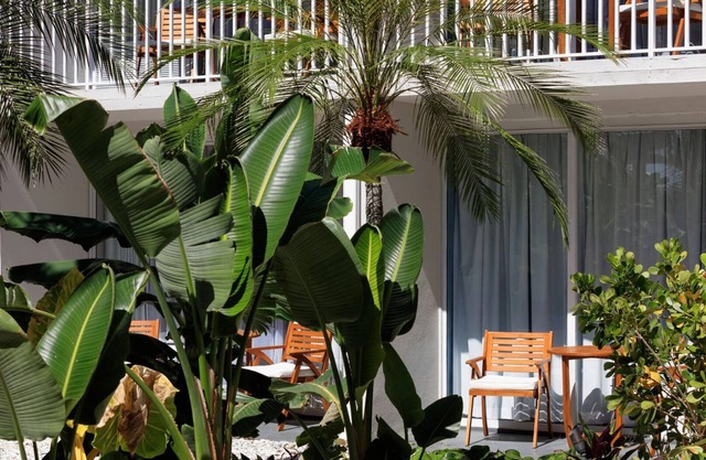 2 Modern Retreat Near Maximo Park & Downtown Dining Scene | Fort De Soto Nearby