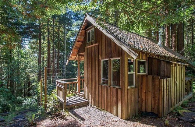 2 Rustic Cabins+Treehouse On Creek in Redwoods