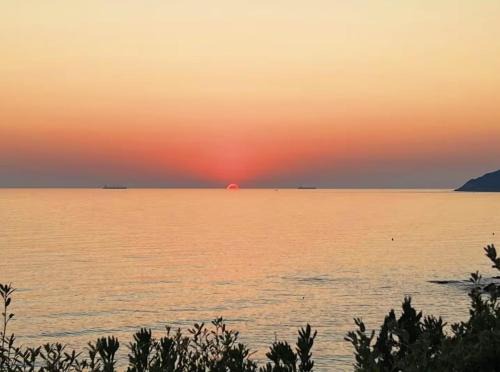 2 Tuscan seafront apartments with private access to sea