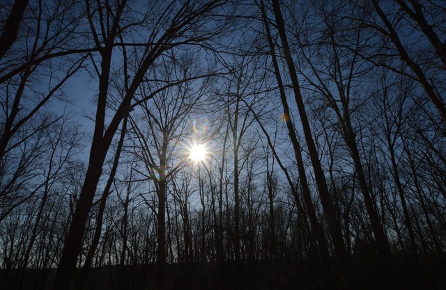 200+ private wooded acres to explore onsite, with DirecTV, WiFi, & Pet Friendly