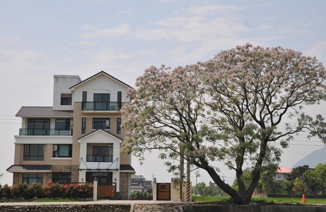 201 Mountain View Double room Hualien