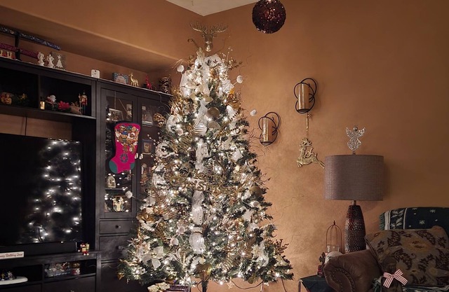 3 bdrm family home fully decorated Winter Wonderland for Christmas 23