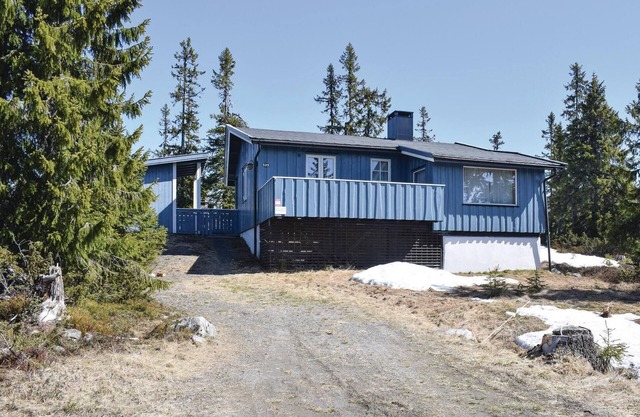 3 bedroom amazing home in Sjusjøen