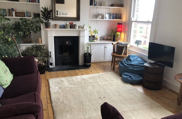 3 Month let in Very Large Garden Flat in Funky Peckham Rye
