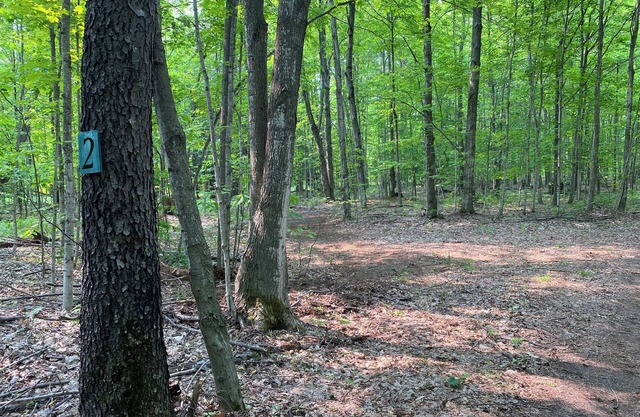 #3 Private Wooded Campsite for Tents or Small RV's