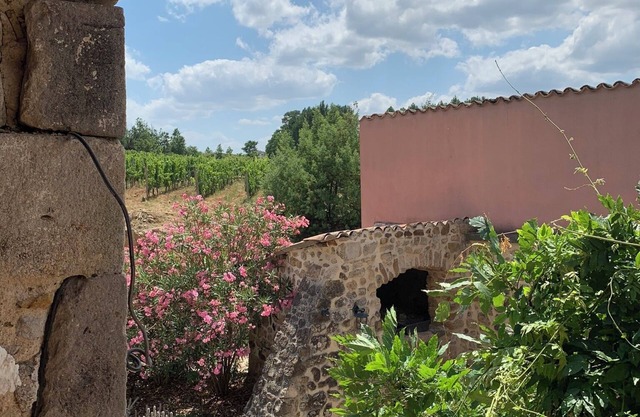 3-star ECOGITE 8/10Pers IN THE HEART OF THE VINEYARDS