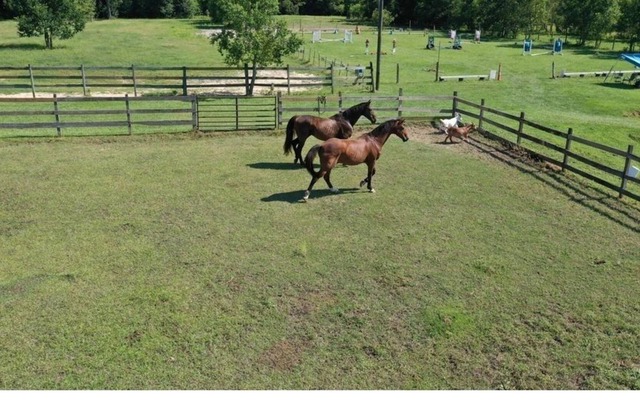 30 Acre Horse Farm with Barn