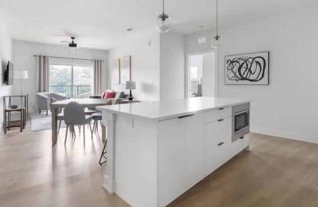 30 night minimum in West Austin Walk to UT and Austin's best parks, pet friendly