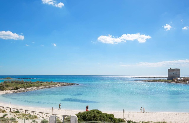 3448 Villetta Stellastrea by Barbarhouse