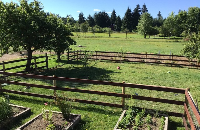 3G Farms studio Gateway to Mount St. Helens & Cowlitz River