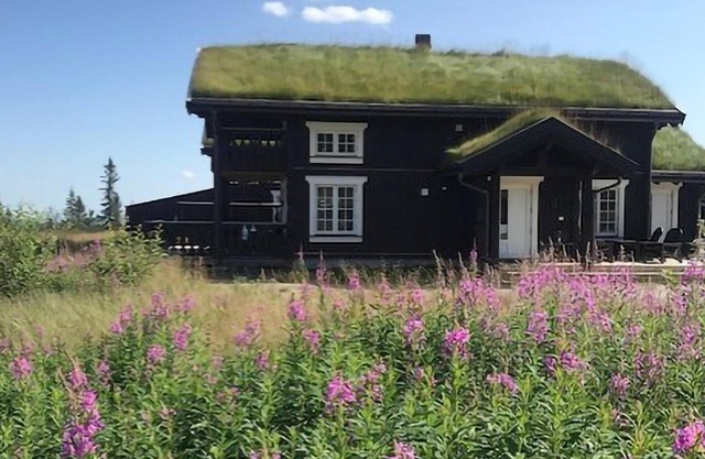 4 bedroom awesome home in Eggedal