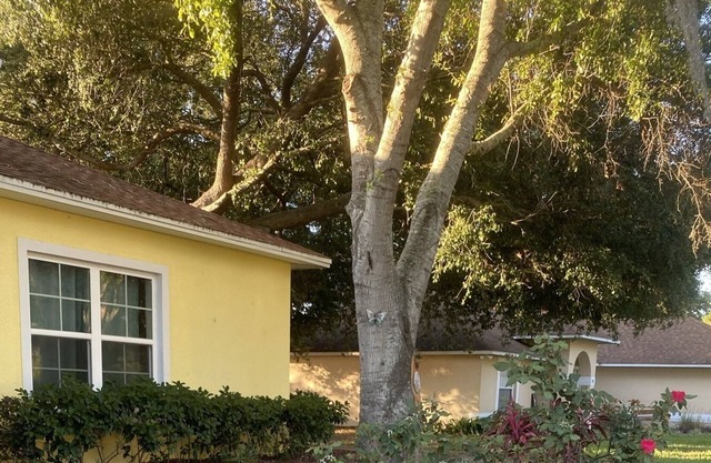 4 bedroom house near Disney, beaches and state parks. Handicap accessible.