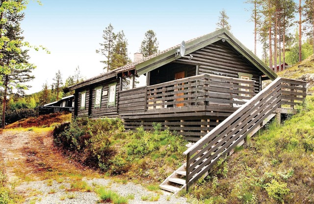 4 bedroom stunning home in Rendalen