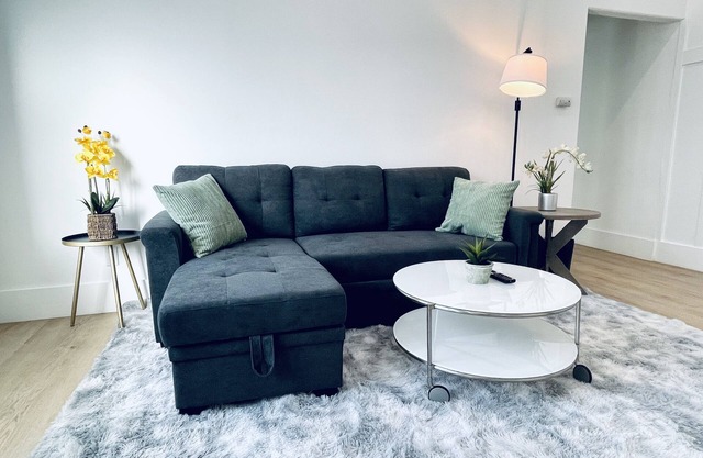 456A San Jose Downtown Spacious 1br Home/Parking/WIFI