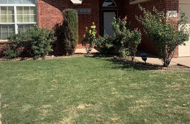 50 Yard Line Home! 6 minutes from Texas Tech