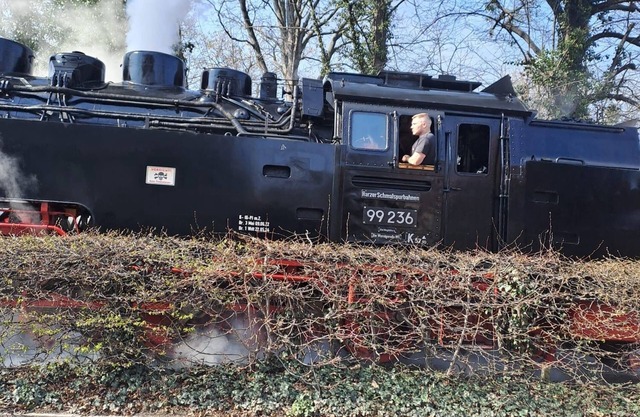 55 sqm vacation apartment "Brockenbahnblick" for 2-4 persons, opposite the Westernto